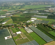 805870 Luchtfoto van het tuinbouwgebied met kassen aan de Alendorperweg (midden) te Vleuten (gemeente Vleuten-De ...